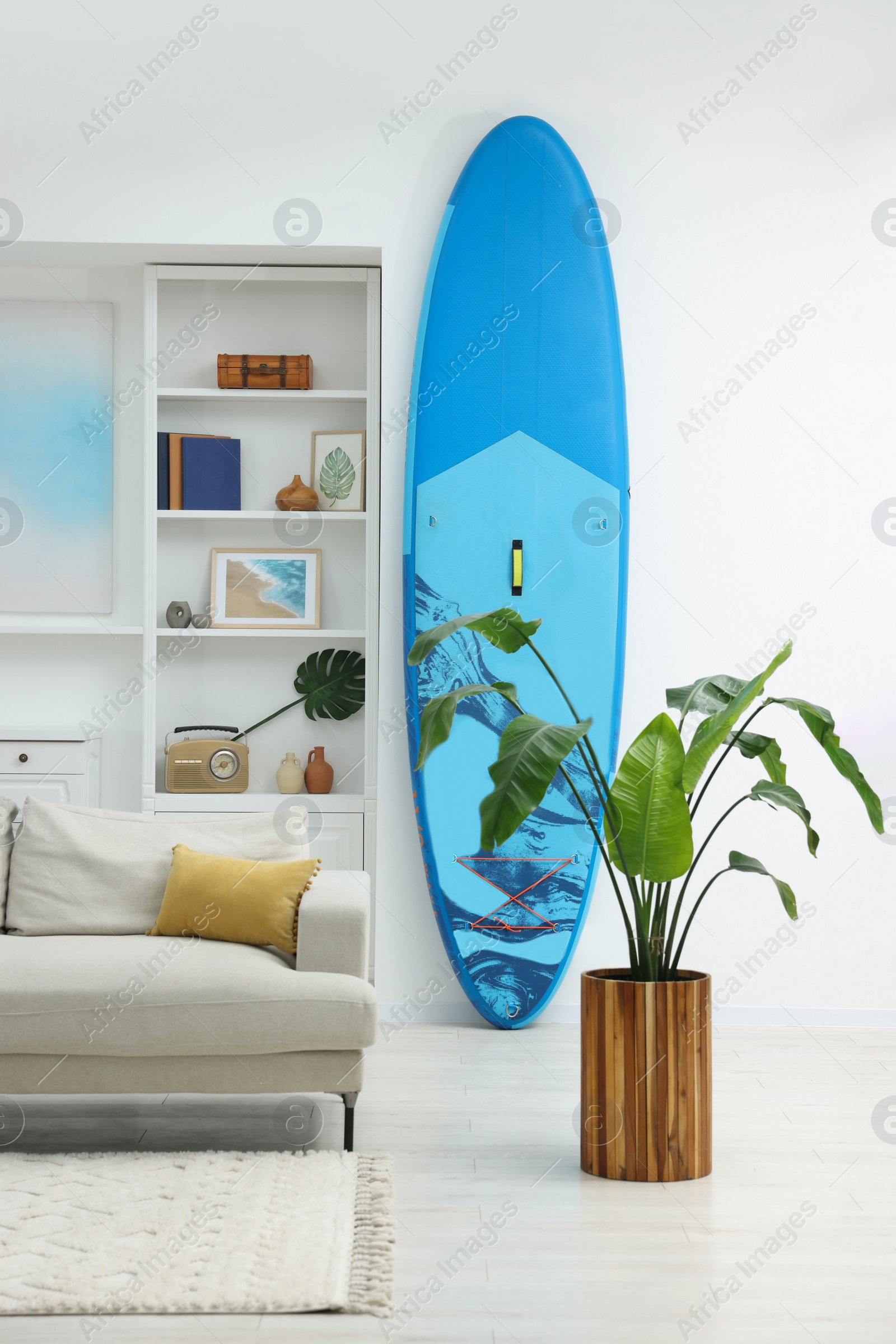 Photo of SUP board, shelving unit with different decor elements and green houseplant in room. Interior design