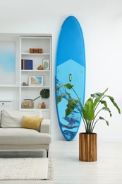 SUP board, shelving unit with different decor elements and green houseplant in room. Interior design