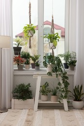 Photo of Cozy room interior with stylish furniture and beautiful houseplants near window
