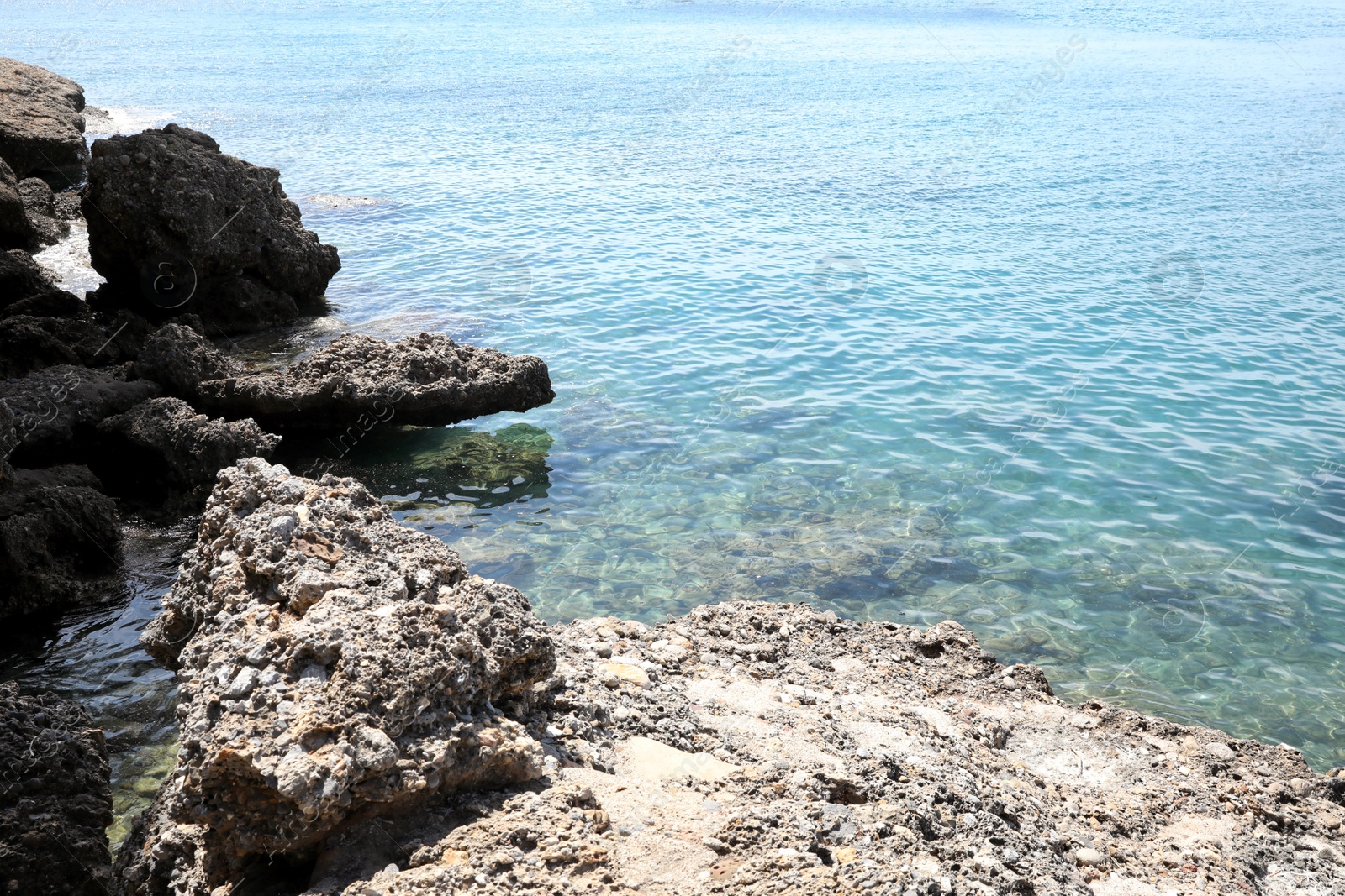 Photo of Beautiful view of rocky sea coast on sunny summer day