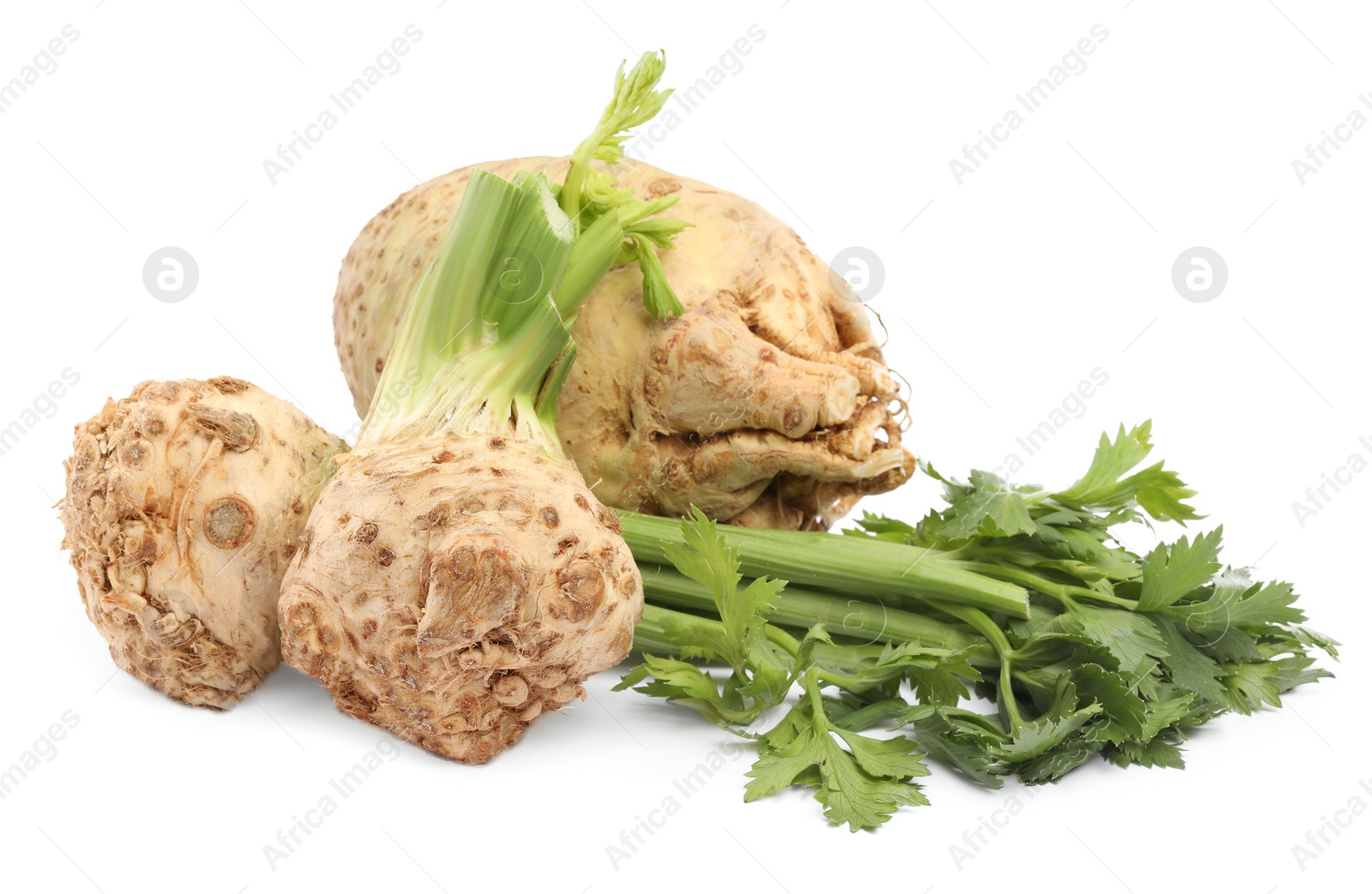 Photo of Fresh raw celery roots and stalks isolated on white