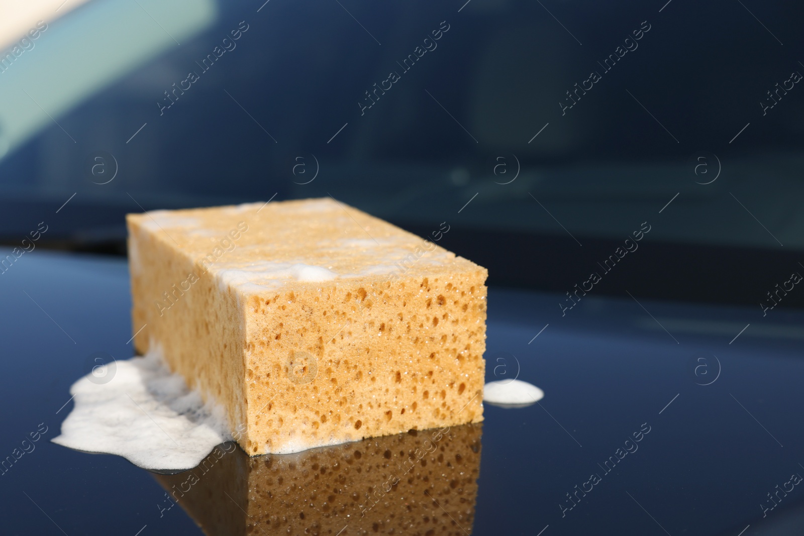 Photo of Soapy sponge on car hood. Cleaning product