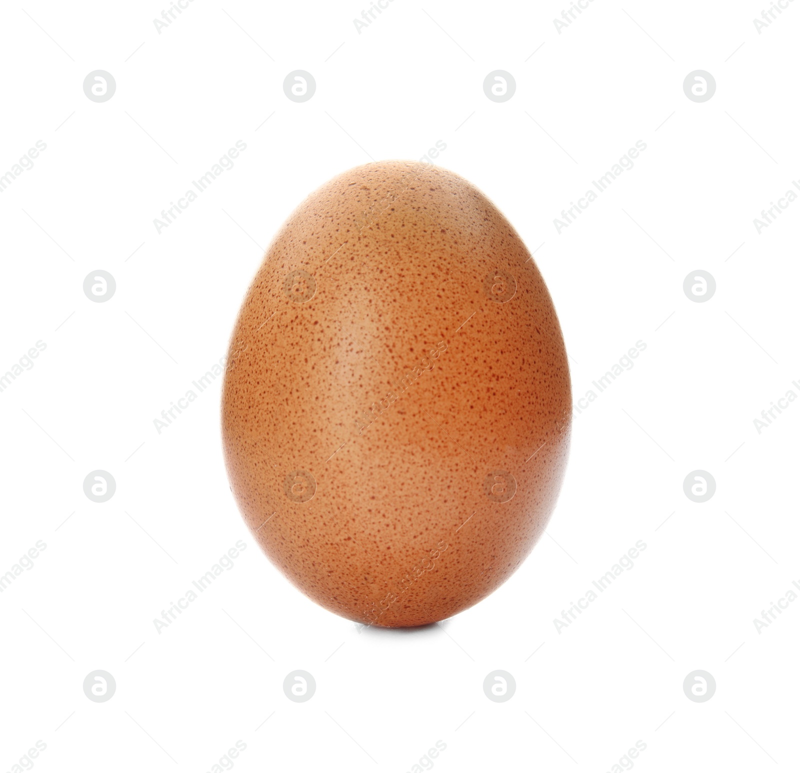 Photo of Raw brown chicken egg on white background