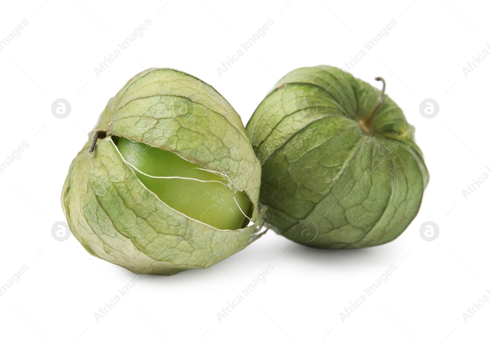 Photo of Fresh green tomatillos with husk isolated on white