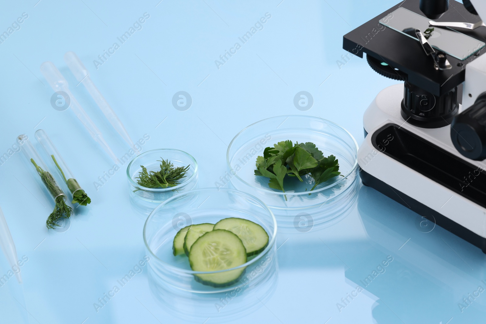 Photo of Food quality control. Microscope, petri dishes with different products and other laboratory equipment on light blue table