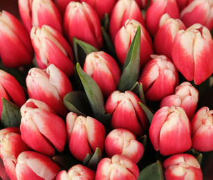 Photo of Beautiful bouquets of tulip flowers, closeup. Floral decor