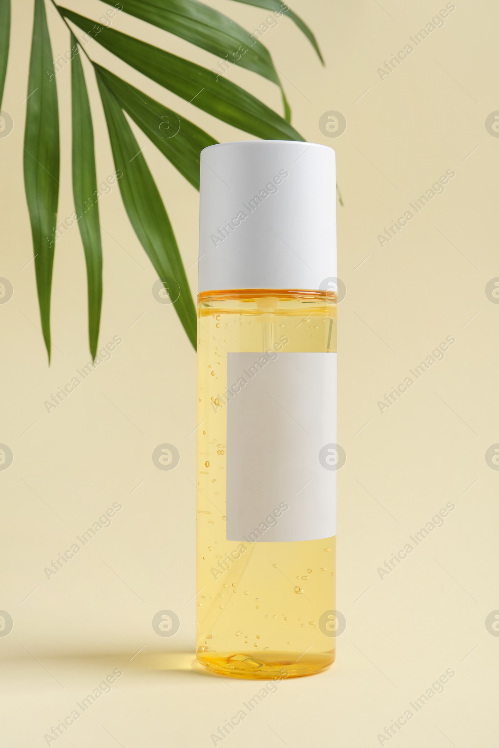 Photo of Bottle with cosmetic oil and green leaf on beige background