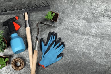 Photo of Gardening tools and plants on grey background, flat lay. Space for text