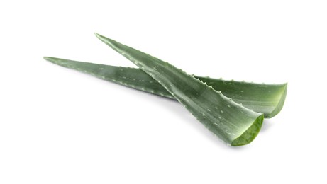 Photo of Green aloe vera leaves isolated on white