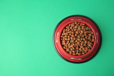 Dry dog food in feeding bowl on green background, top view. Space for text