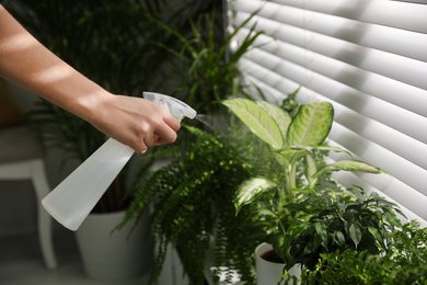 Photo of Woman spraying plants near window at home, closeup