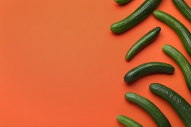 Fresh ripe cucumbers on orange background, flat lay. Space for text