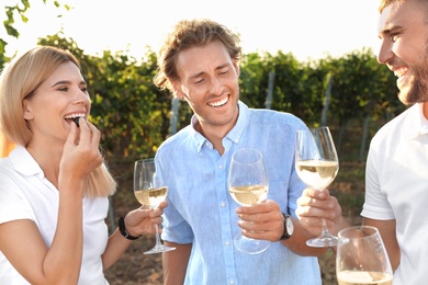 Friends holding glasses of wine and having fun on vineyard picnic