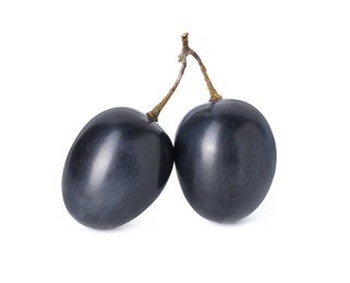 Two ripe dark blue grapes isolated on white
