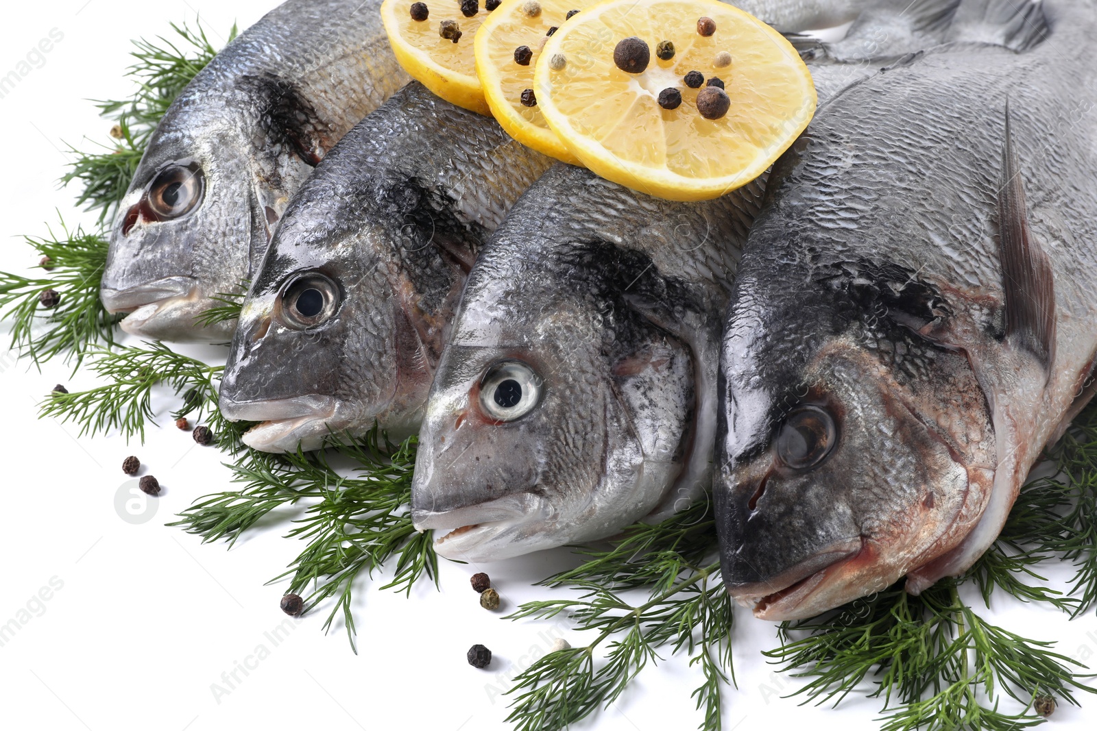 Photo of Raw dorado fish, dill, lemon slices and peppercorns isolated on white