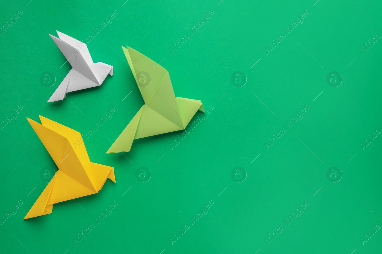 Photo of Beautiful colorful origami birds on green background, flat lay. Space for text