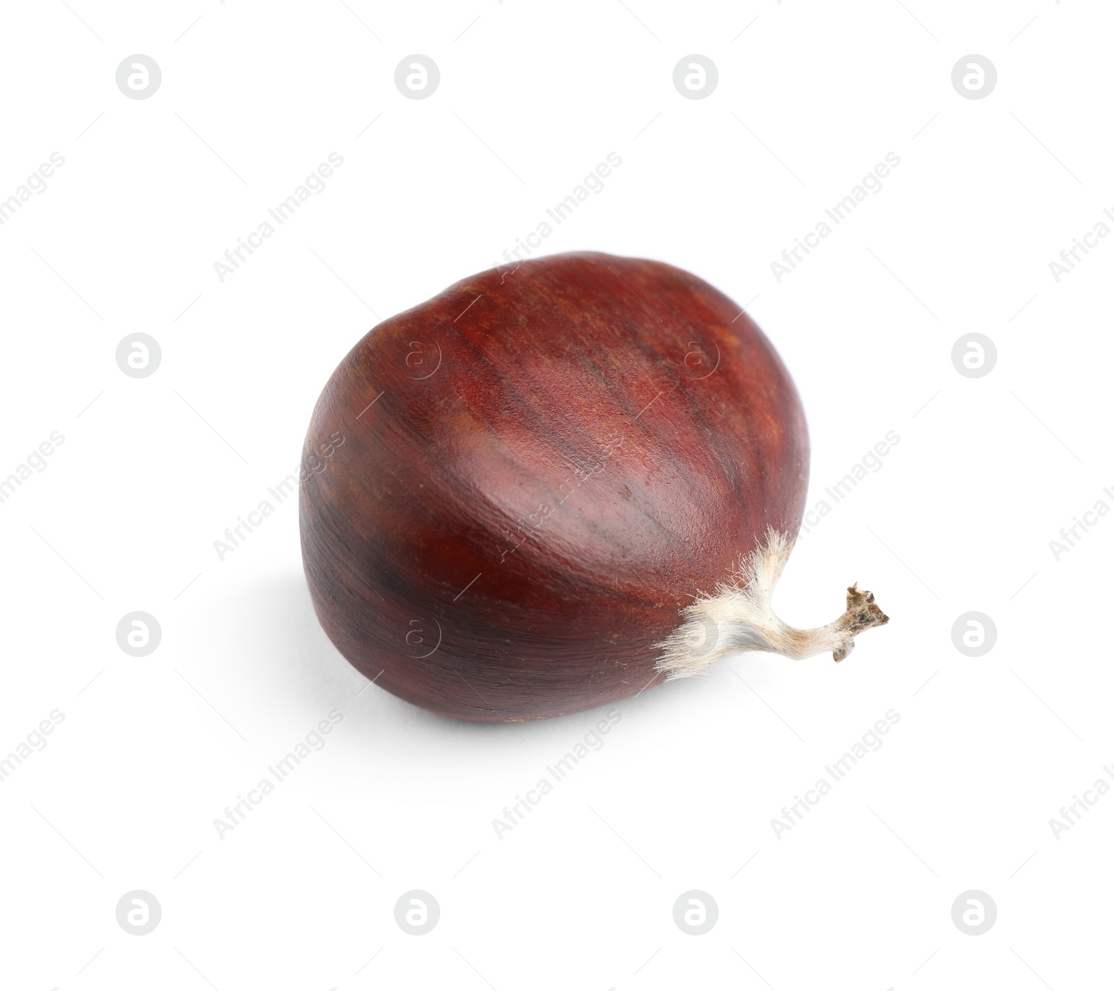 Photo of Fresh sweet edible chestnut isolated on white