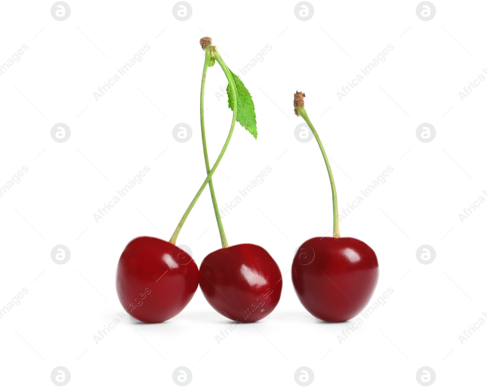 Photo of Delicious ripe sweet cherries on white background