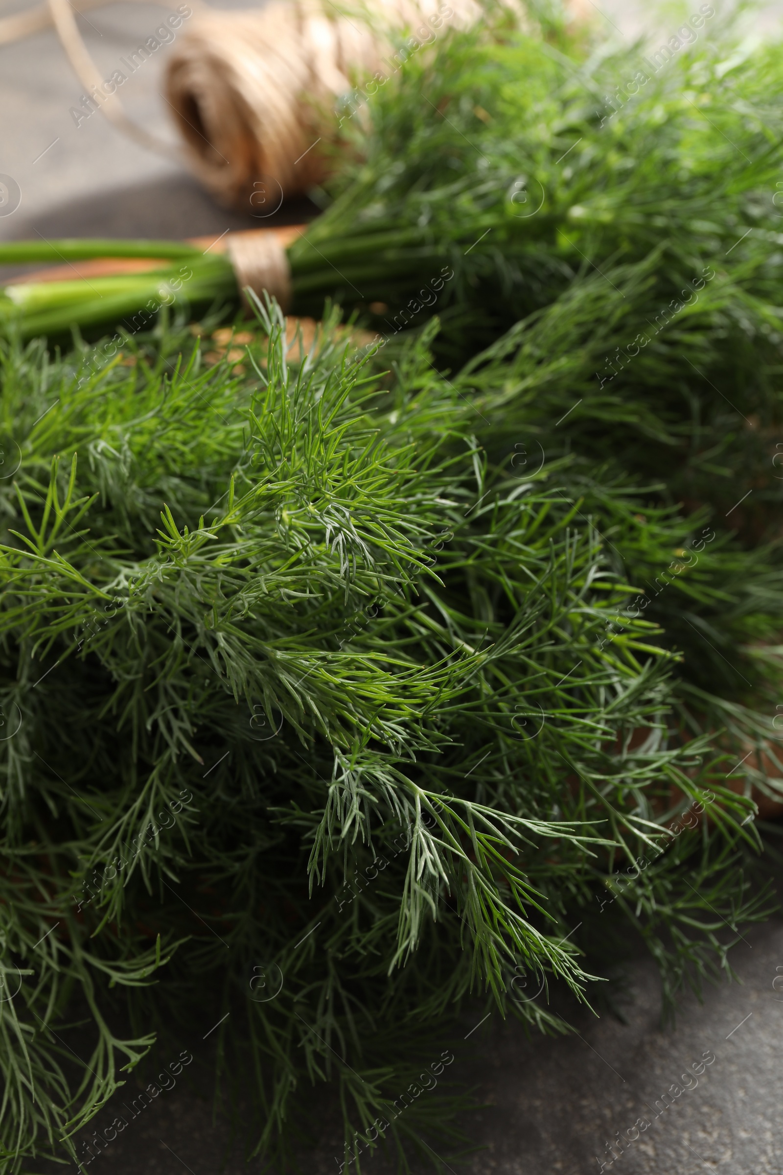 Photo of Fresh dill on grey table, closeup view