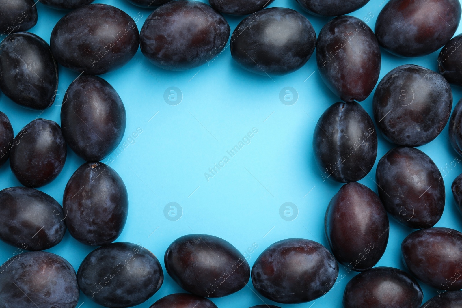 Photo of Frame made of delicious ripe plums on light blue background, flat lay. Space for text