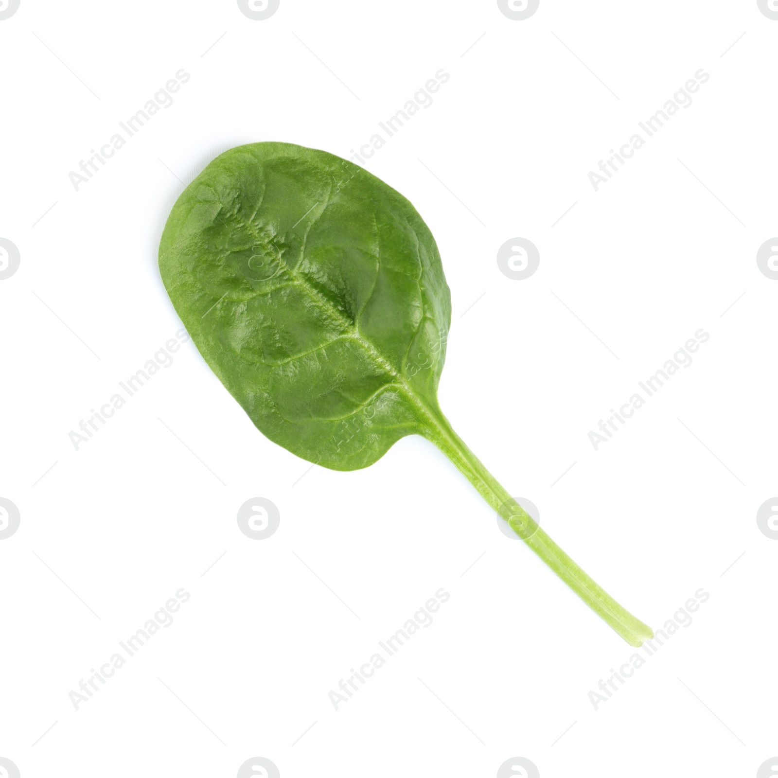 Photo of Fresh leaf of spinach isolated on white, top view