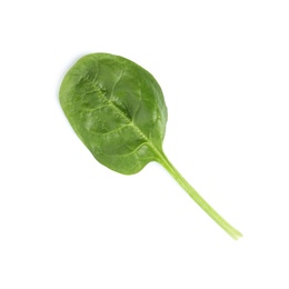 Fresh leaf of spinach isolated on white, top view