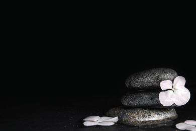 Photo of Stones and flowers in water on black background, space for text. Zen lifestyle