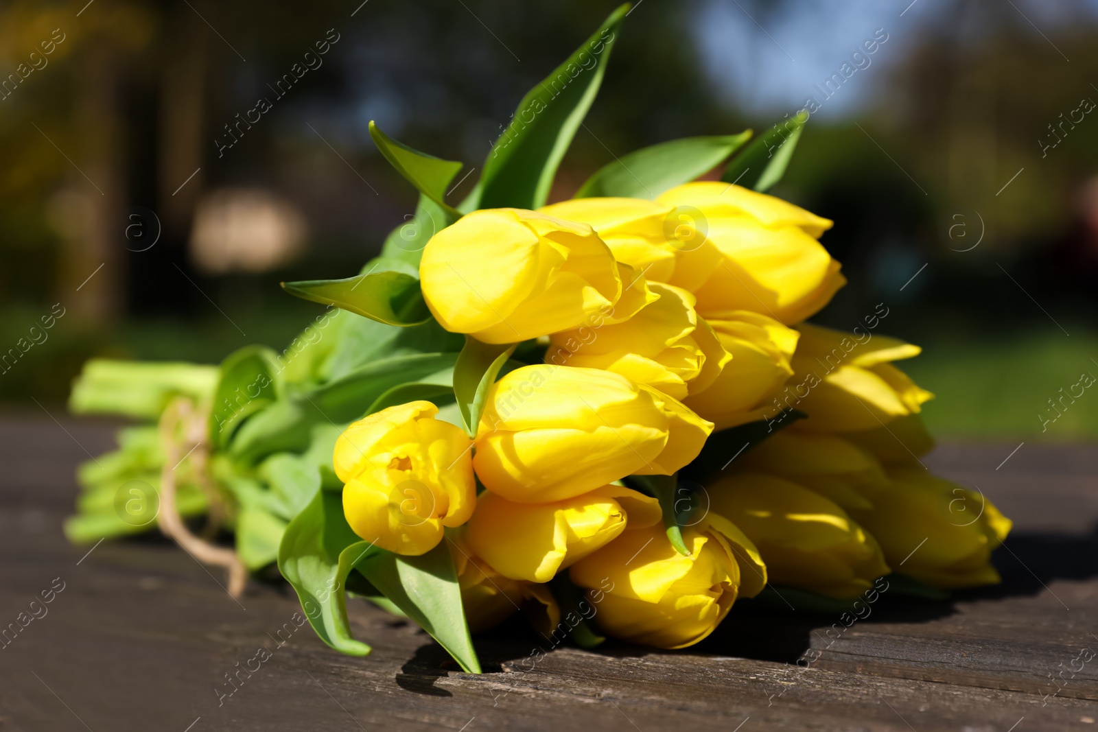 Photo of Bouquet of beautiful yellow tulips on wooden table outdoors, closeup