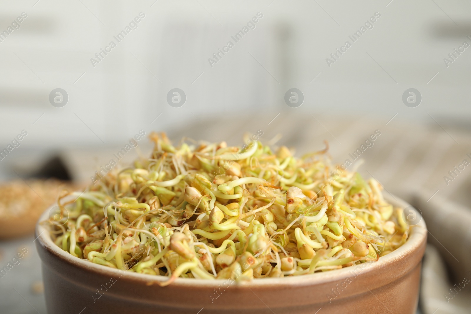 Photo of Bowl of sprouted green buckwheat on table, closeup