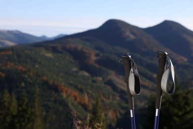 Pair of trekking poles in mountains on sunny day, space for text