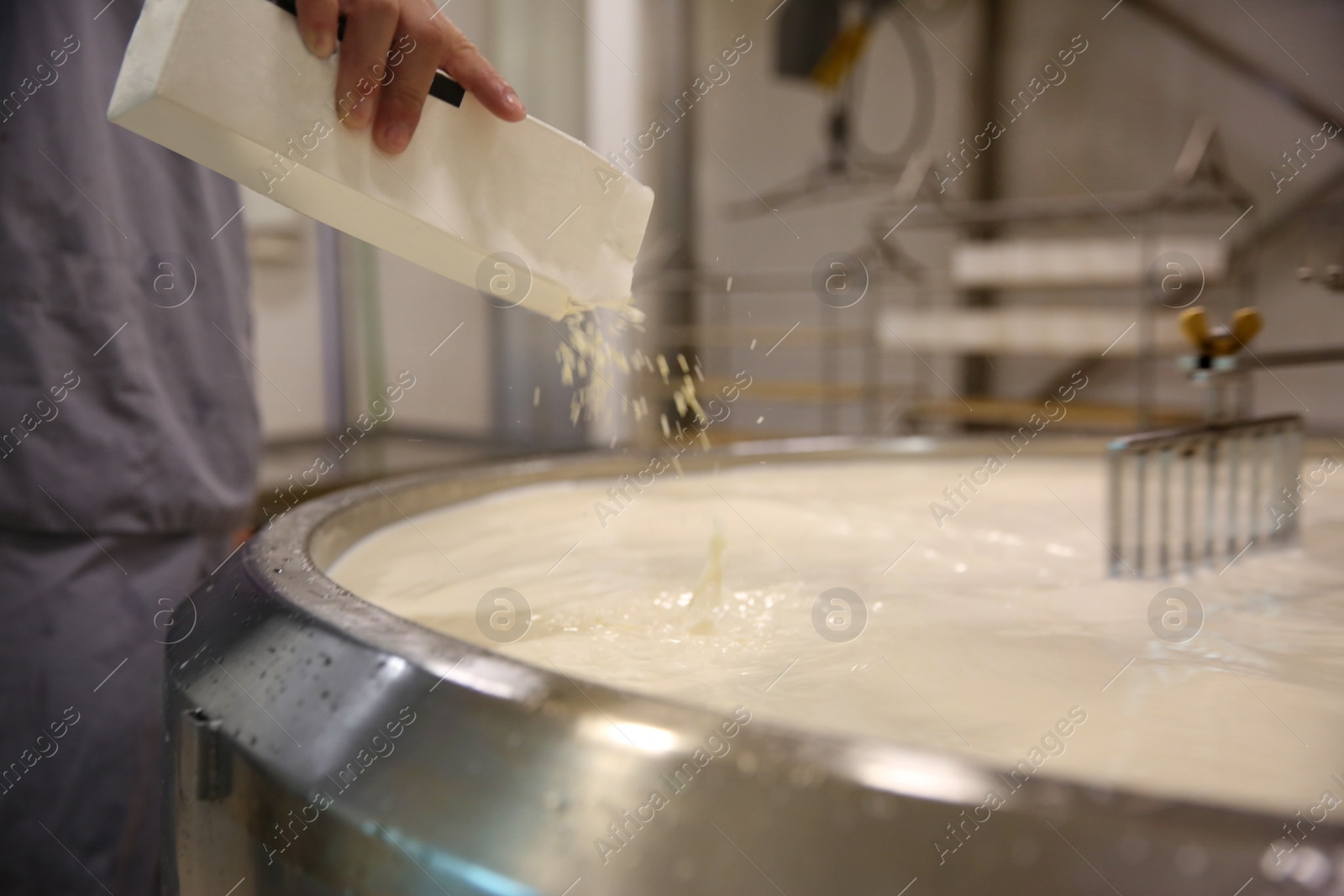 Photo of Worker adding culture to milk in curd preparation tank at cheese factory, closeup