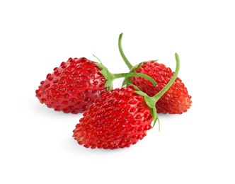 Image of Fresh ripe wild strawberries isolated on white