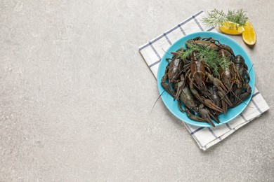 Fresh raw crayfishes with lemon and dill on light grey table, flat lay. Space for text