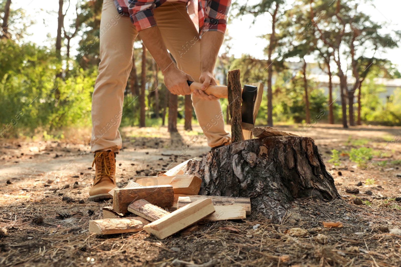 Photo of Man chopping firewood with axe in forest, closeup