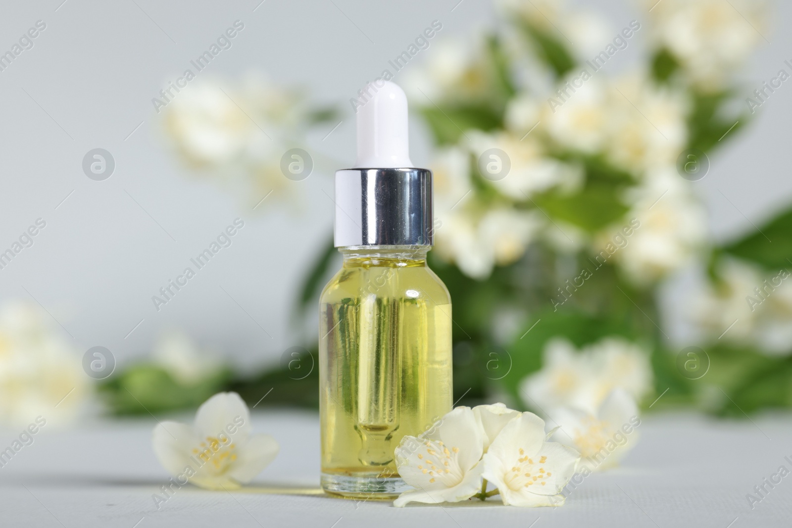 Photo of Essential oil in bottle and beautiful jasmine flowers on grey background, closeup