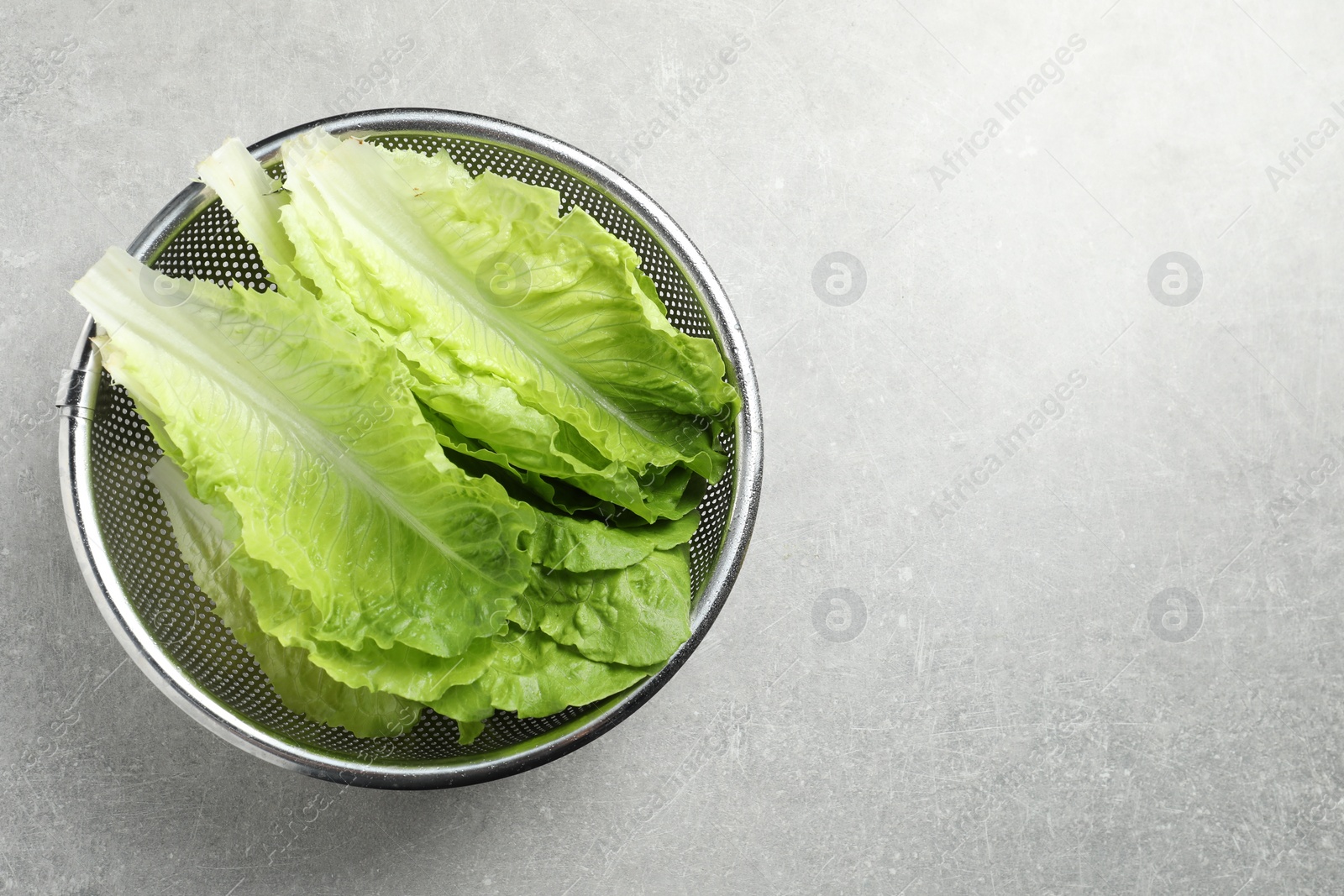 Photo of Colander with fresh leaves of green romaine lettuce on light grey table, top view. Space for text