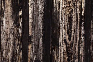 Photo of Texture of black wooden surface as background