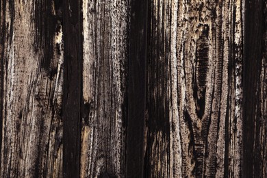 Texture of black wooden surface as background