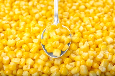 Photo of Frozen corn and spoon, closeup. Vegetable preservation