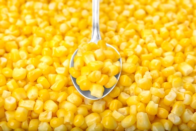 Frozen corn and spoon, closeup. Vegetable preservation