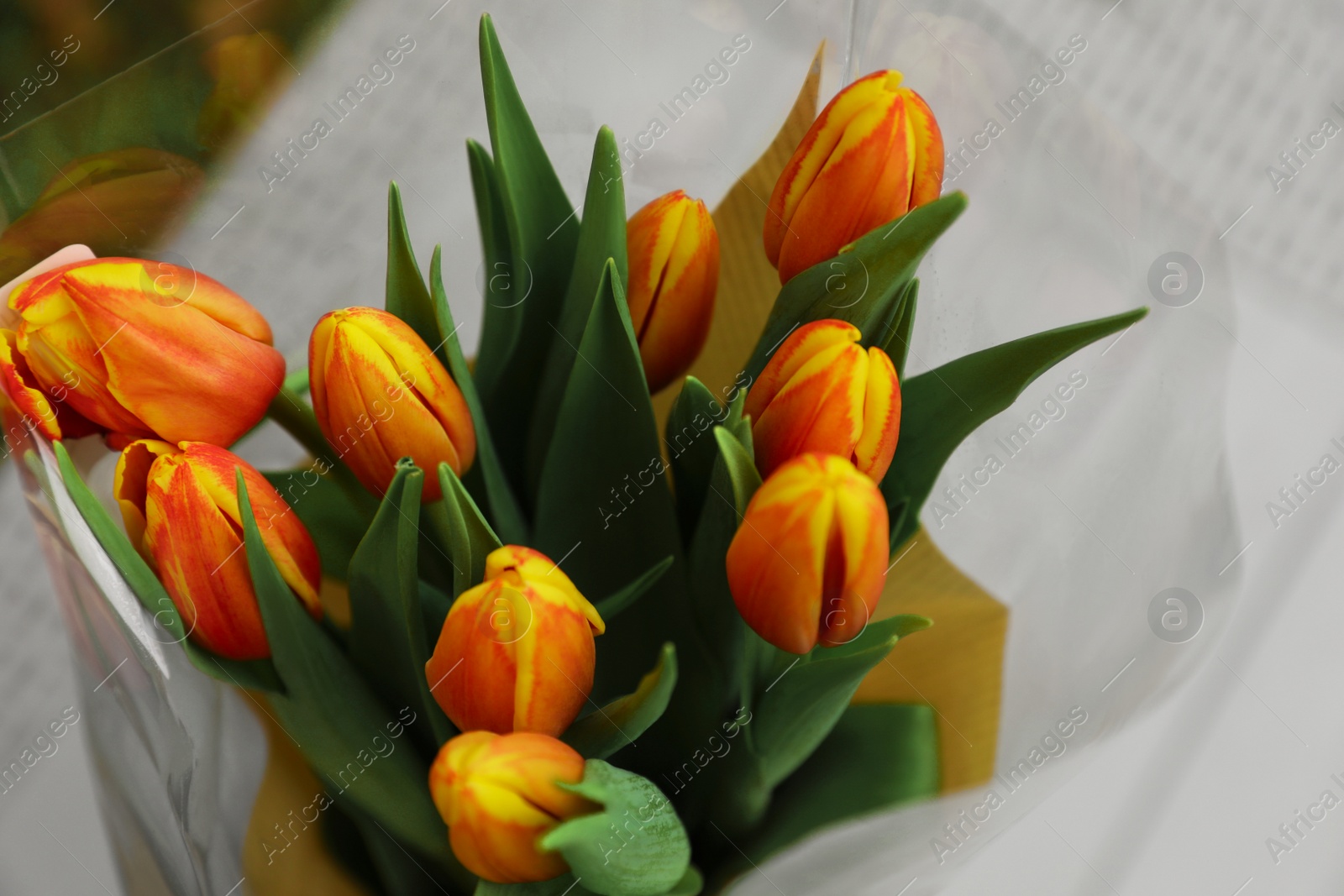 Photo of Beautiful bouquet of orange tulips outdoors, closeup