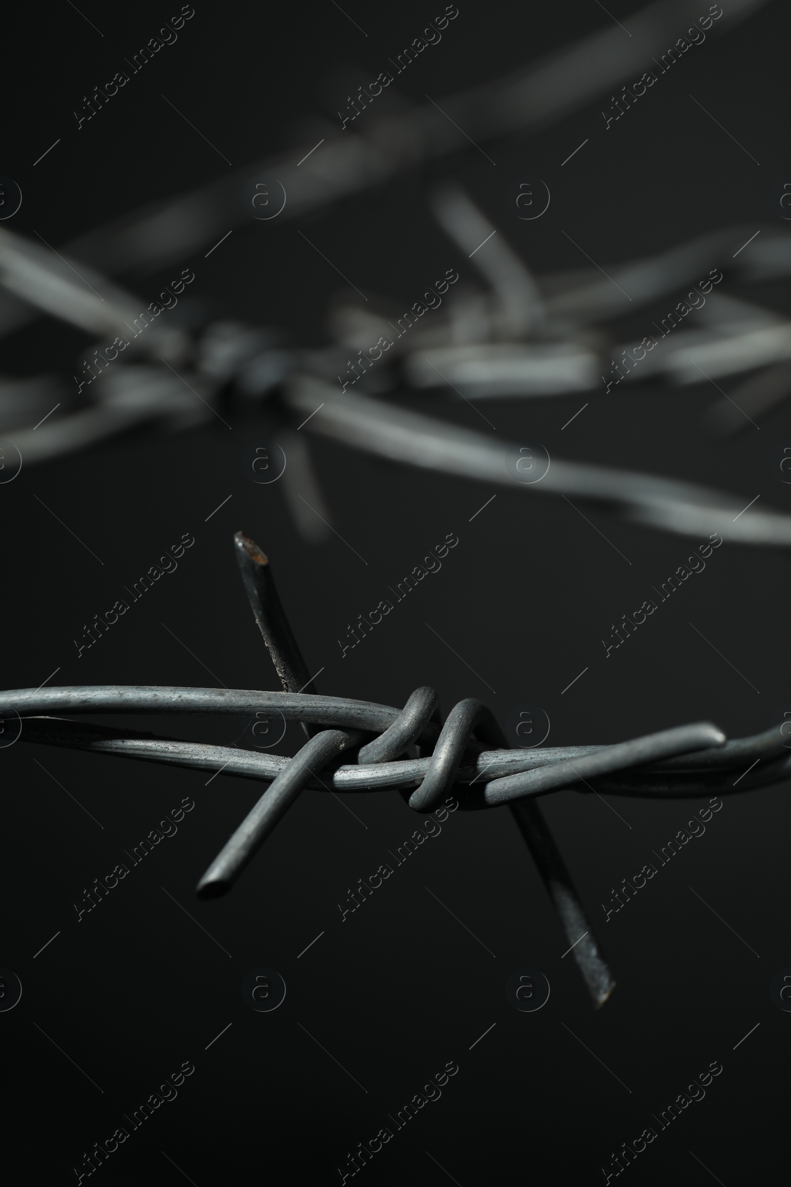 Photo of Metal barbed wire on dark grey background, closeup