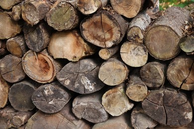 Photo of Pile of different cut wood logs as background, closeup