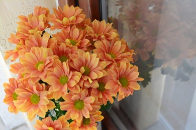 Photo of Bouquet of beautiful chrysanthemum flowers near window, closeup