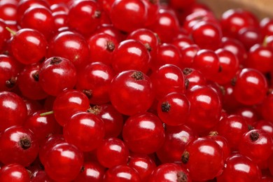 Many tasty fresh red currants as background, closeup