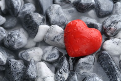 Photo of Red decorative heart on stones and water, top view. Space for text