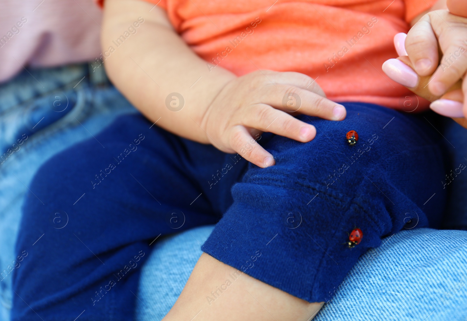 Photo of Little baby playing with ladybugs, closeup view