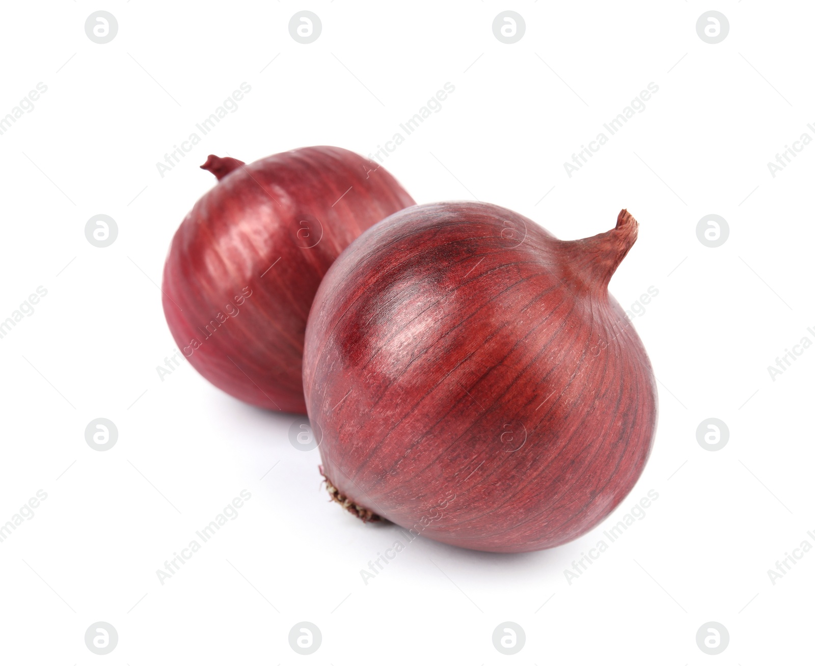 Photo of Fresh whole red onions on white background