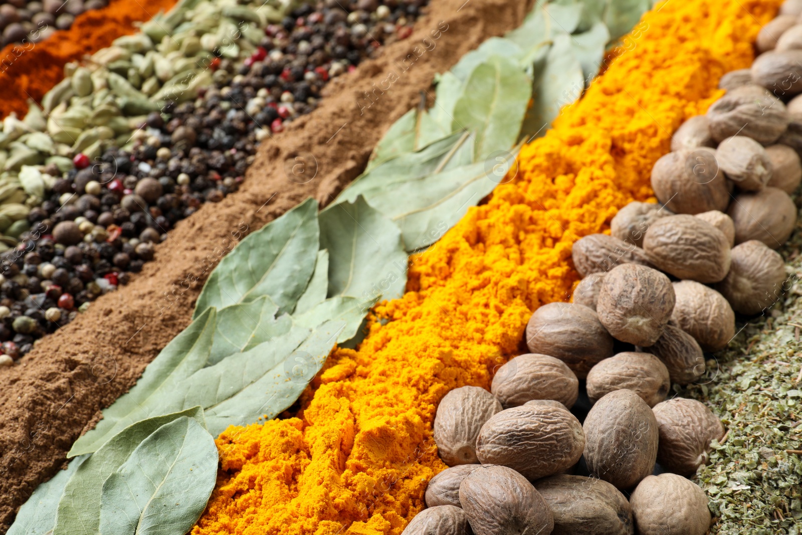 Photo of Set of different spices as background, closeup