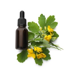 Bottle of essential oil and celandine on white background, top view